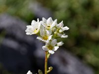20160903 0091