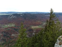 20101030 209