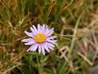 20090802 199 raw