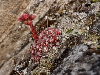 20090802 224 raw