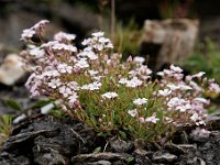 20090802 278 raw