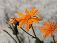 20090802 348 raw