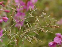 20090803 017 raw