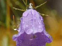 20090803 114 raw