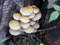 20151005 0066