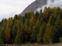 20151006 0052