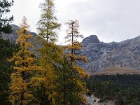 20151008 0032