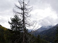 20151008 0036