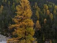 20151008 0039