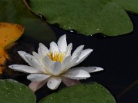 20170604 0087