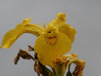 20170604 0298