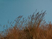 20141005 220