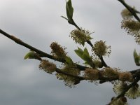20050521 006
