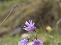 20050521 104