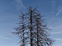 20111029 1054