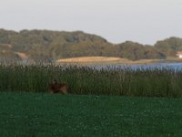 20170716 0083