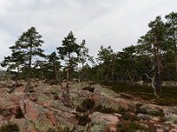 20170722 0045