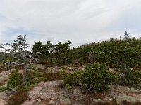 20170722 0047