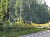 20170724 0034