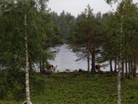 20170731 0139