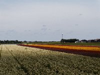 20170806 0085