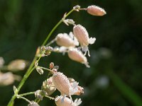 20170809 0014