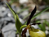 20120617 206