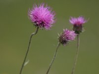 20050723 102