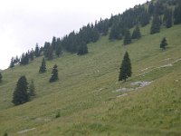 20050723 123