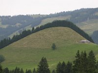 20050723 131