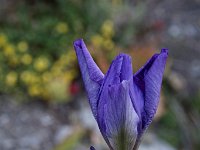 20150418 041
