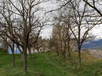 20150419 147
