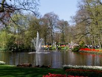 Keukenhof