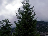 20190731 0004