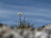 20190801 0059