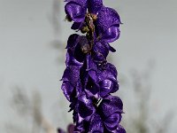 20190809 0300