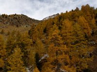 2020-10-20 0057 : Valais