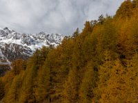 2020-10-20 0061 : Valais