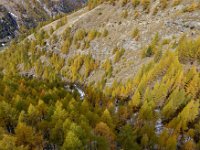 2020-10-20 0065 : Valais