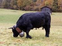 2020-10-23 0005 : Valais