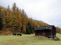 2020-10-23 0009 : Valais