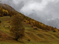 2020-10-23 0013 : Valais