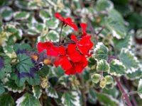 2020-10-23 0019 : Valais