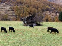 2020-10-23 0040 : Valais