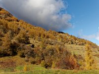 2020-10-24 0006 : Valais