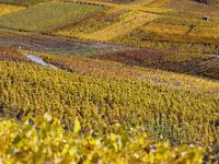 2020-10-25 0015 : Valais