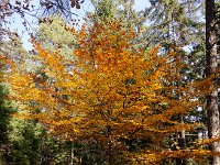 2020-10-25 0027 : Valais