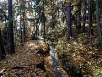 2020-10-25 0041 : Valais