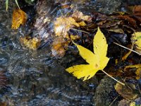 2020-10-25 0059 : Valais