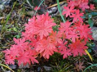 2020-10-25 0062 : Valais